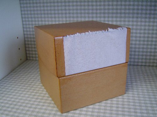 ファイル 95-1.jpg