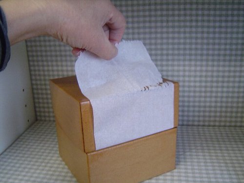 ファイル 95-2.jpg